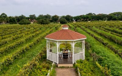 Sula Vineyards Sparkles Globally with Gold and Silver at the Asian Sparkling Masters 2024