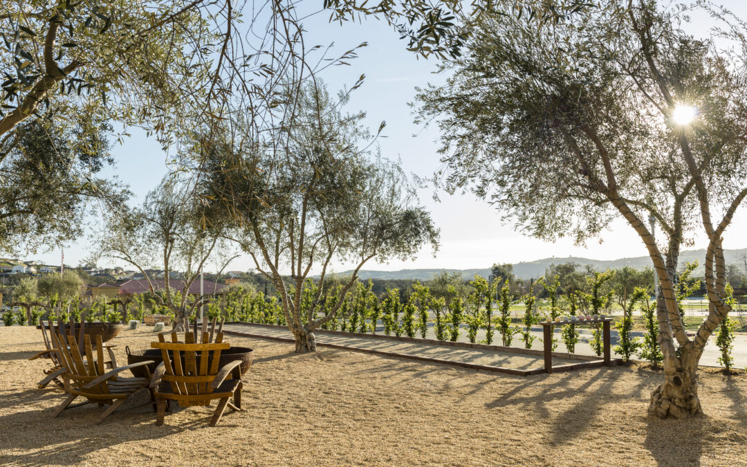 Allegretto Vineyard Resort